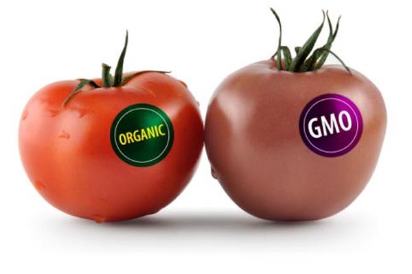 GMOs and Fibromyalgia